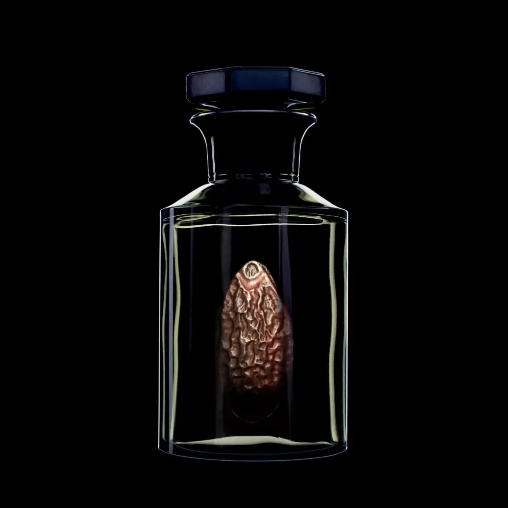 fragrance image