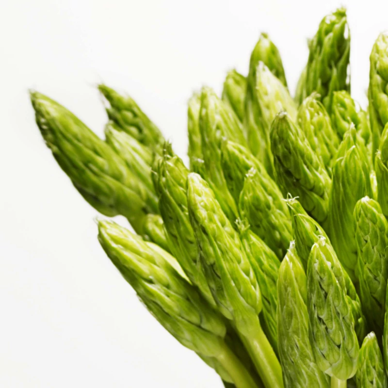 fragrance image
