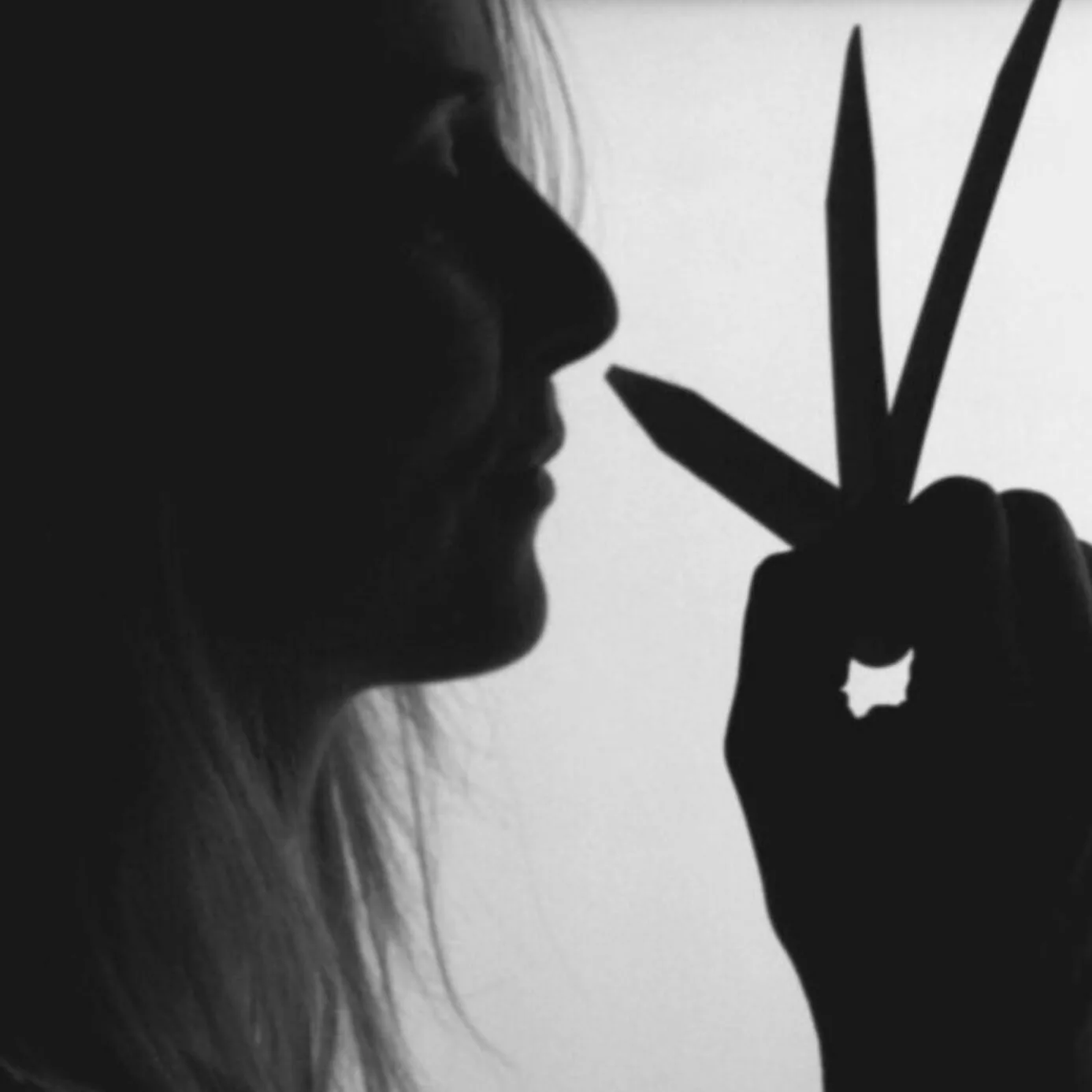 fragrance image