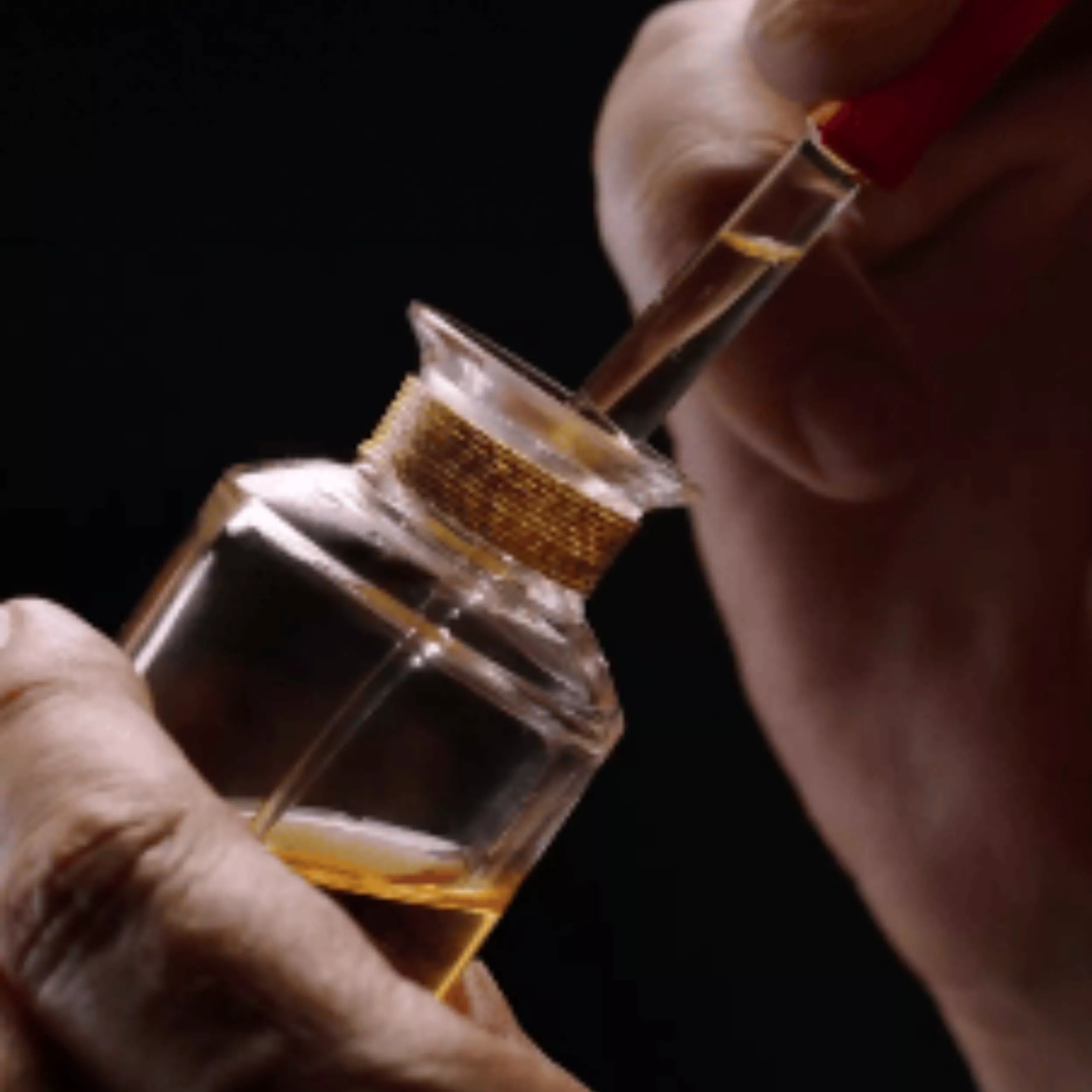 fragrance image
